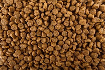 Dried dog food background