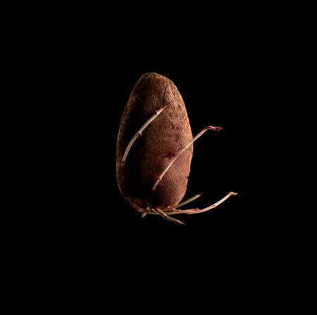potatoes on a black background の写真素材