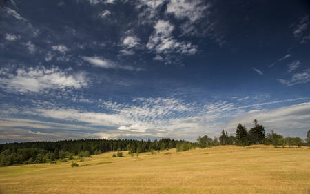 Summer meadow with beautiful blue skyの写真素材