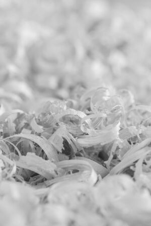 Close up view on wood shavings. Abstract background. Black and white.の写真素材