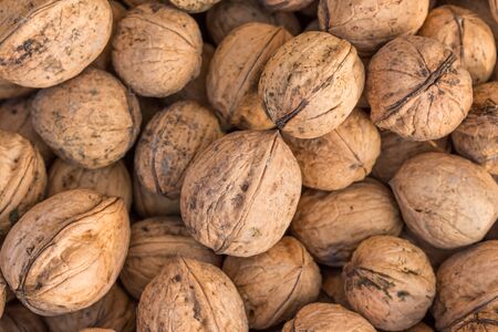 Walnuts. Whole walnuts background. Many walnuts close-up.