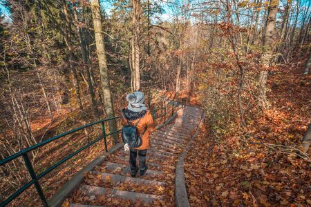 Young Traveler woman with backpack stand in forrest and enjoys nature and sunlight