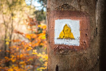 Touristic sign or mark on tree next to touristic path with nice autumn scene in background.の写真素材