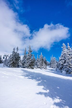 Krkonose mountains covered with snow, frozen trees. The highest peak Snezka in the background. Blue sky with white clouds in sunny day in March.