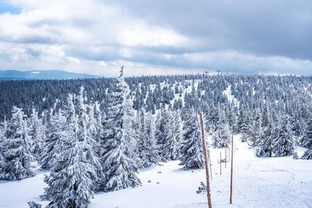 Beautiful winter landscape with snow covered trees in Krkonose.の写真素材