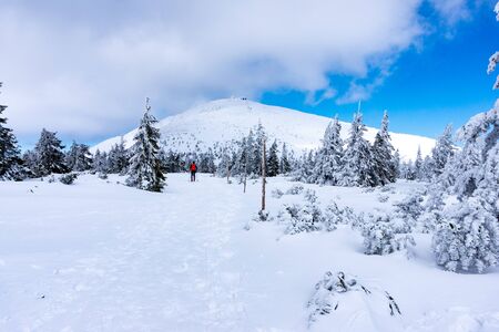 View to a hiking trail which leads to a summit of Snezka mountain, the highest Czech mountain. Located on a border with Poland.の写真素材