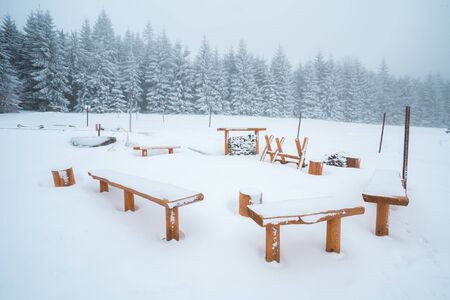 Winter forest camp, woden benches and fireplace covered in snow, snowy landscape. No peopleの写真素材