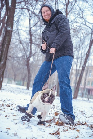 French Bulldog dog playingin the winter with man in the parkの写真素材