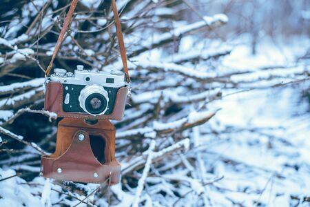 old camera on frozen bush in the parkの写真素材