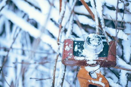 old camera on frozen bush in the park