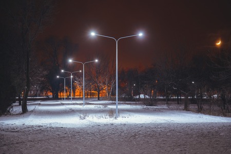 Night landscape in winter city park with lightsの写真素材