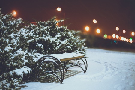night at winter city park with lightsの写真素材
