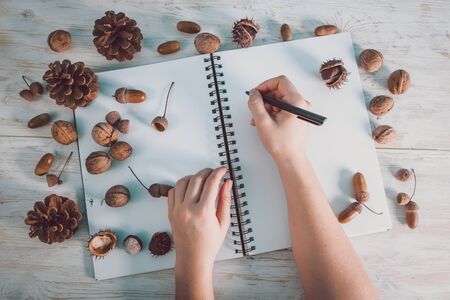 open notebook with acorns and conesの写真素材