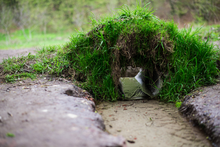 Streaming water in the parkの写真素材