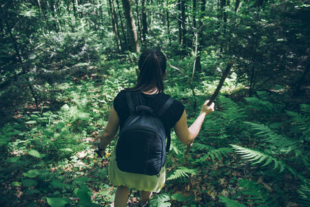 traveler woman hiking in woodsの写真素材