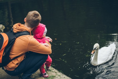 father with daughter looking on swanの写真素材