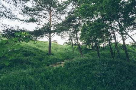 park view with hills in grassの写真素材