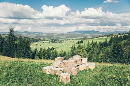 Large wooden logs in Carpathians forest