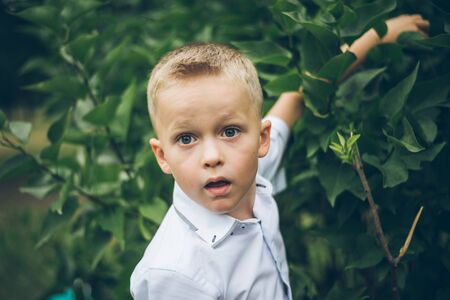 portrait of kid boy in parkの写真素材