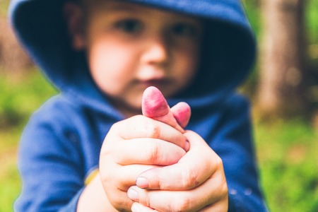 Little kid eat blueberry in the forestの写真素材