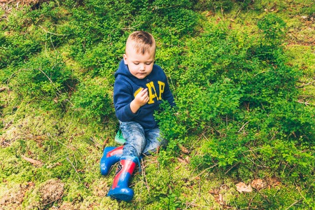 Little kid eat blueberry in the forestの写真素材