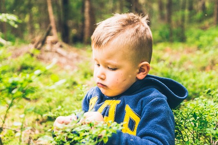Little kid eat blueberry in the forestの写真素材