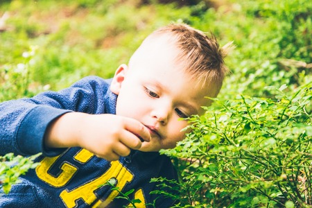 Little kid eat blueberry in the forestの写真素材