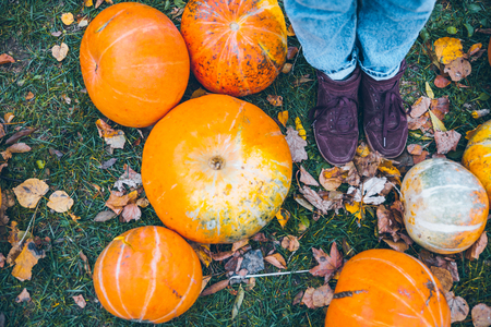 woman lags near pumpkinsの写真素材
