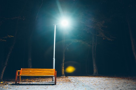 bench in city park at the night