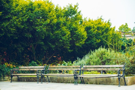 Empty bench in autumn park among fallen leavesの写真素材