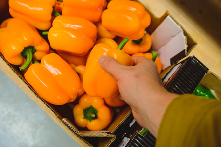first person view man take salad pepper on the marketの写真素材