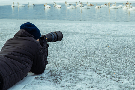 man take picture of swans on winter lake on professional cameraの写真素材