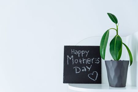 happy mother day text on black board written with chalk. flower in pot near black board