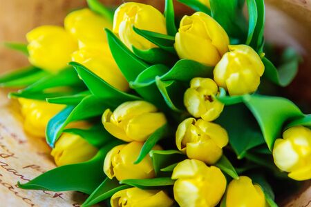 bouquet of yellow tulips close up. greeting cardの写真素材