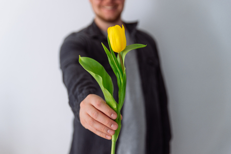 one yellow tulip on mans hands. romantic conceptの写真素材