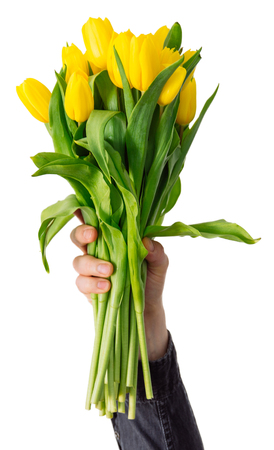 man's hand hold bouquet of yellow tulip. love symbol. isolatedの写真素材