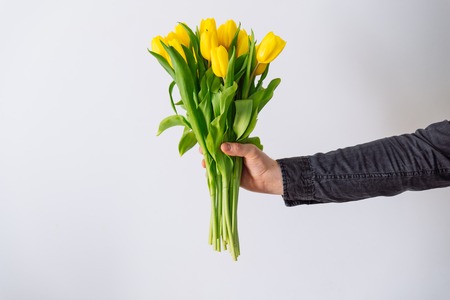man's hand hold bouquet of yellow tulip. love symbolの写真素材