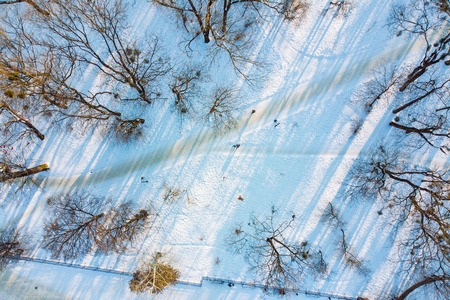 drone view of city park on sunset in winter dayの写真素材