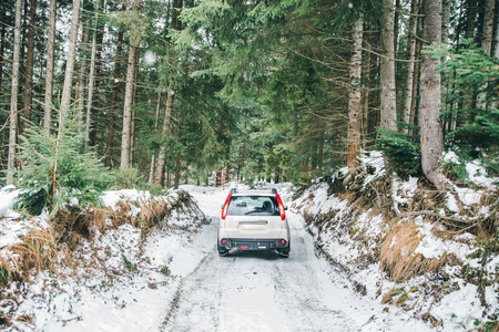 suv car with chain on wheels in snowed forest. off road journeyの写真素材