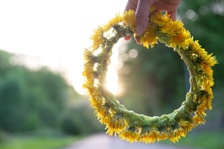 woman hand holding wreath of yellow dandelions. copy space