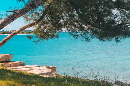 view of sea beach with tree that making shadow. summer vacation wallpaperの写真素材