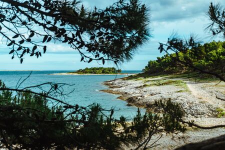 view through trees branch frame at rocky sea beach. summer vacation
