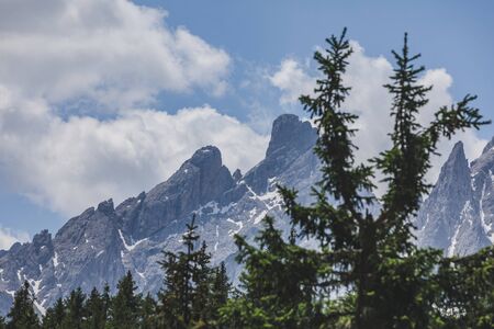 landscape view of alps mountains peak fir tree on background rocks with snowの写真素材