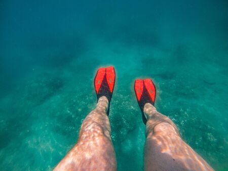mans legs in red flippers underwater snorkeling. underwater view