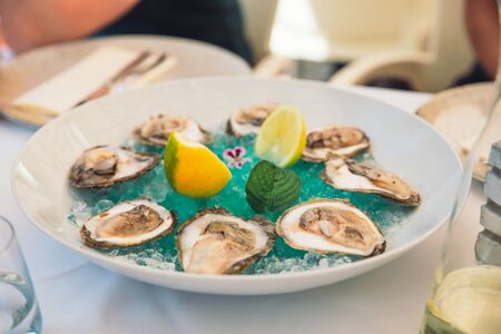 oysters on plate with lime and ice in restaurantの写真素材