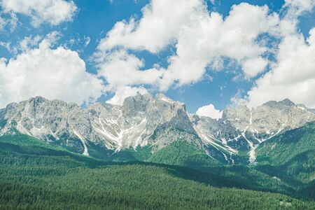 landscape view of alps mountains peak fir tree on background rocks with snow