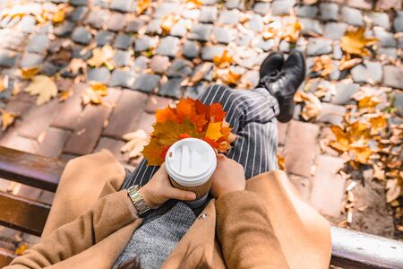 woman holding coffee cup drink to go autumn fall season yellow leavesの写真素材