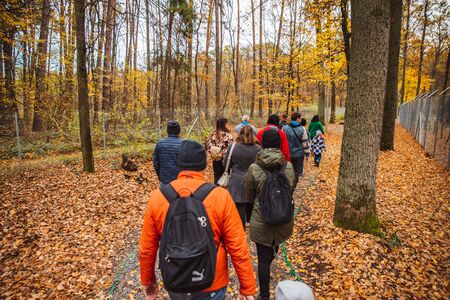 LVIV, UKRAINE - October 21, 2018: group of people walking by autumn forest trail families activitiesのeditorial素材