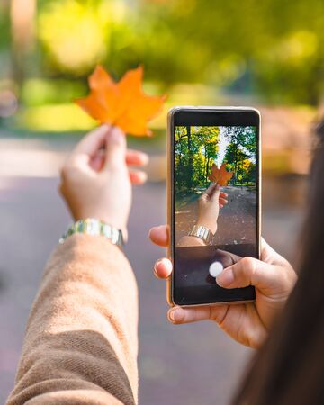 woman taking picture on phone of yellow maple leaf autumn seasonの写真素材