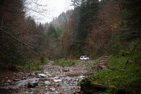 white suv car in the forest off road travel concept